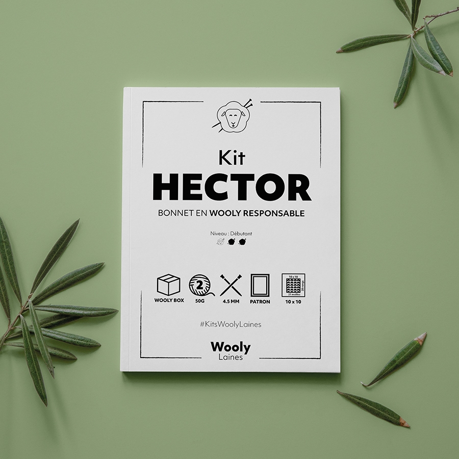 Bonnet Hector - Patron de Tricot en Wooly Responsable Bonnet Hector - Patron de tricot en Wooly Responsable

Niveau débutant
