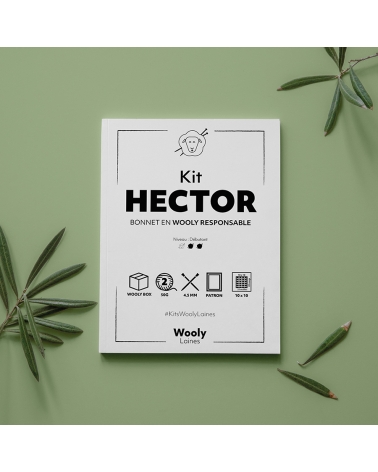 Bonnet Hector - Patron de Tricot en Wooly Responsable Bonnet Hector - Patron de tricot en Wooly Responsable

Niveau débutant
