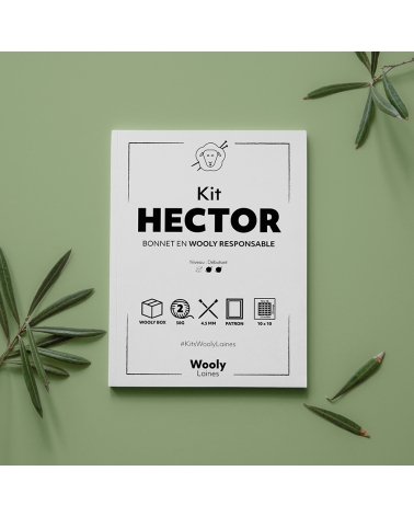 Bonnet Hector - Kit de Tricot en Wooly Responsable Pelote de 50 gr.
Niveau débutant
Avec ce kit, contribuez à la protection de