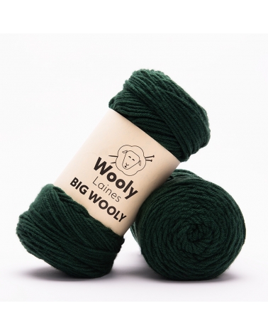 PELOTE DE LAINE BIG WOOLY Pelote de 200 gr.
Sa fibre confortable vous gardera au chaud tout l’hiver !
Les laines Big Wooly son